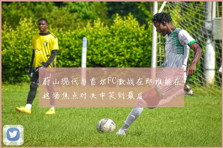 蔚山现代与首尔FC激战在即谁能在这场焦点对决中笑到最后