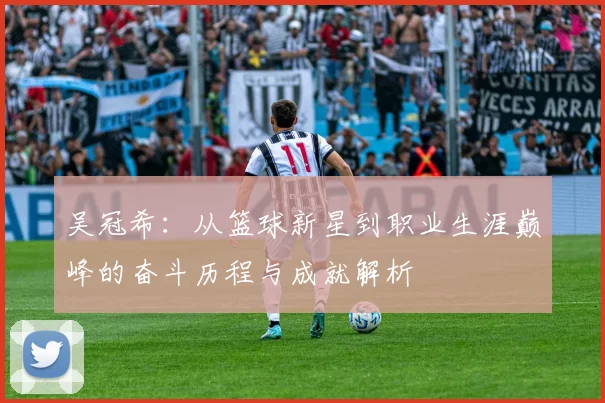 吴冠希：从篮球新星到职业生涯巅峰的奋斗历程与成就解析