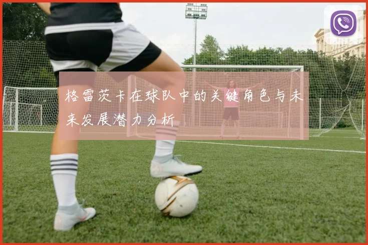 格雷茨卡在球队中的关键角色与未来发展潜力分析