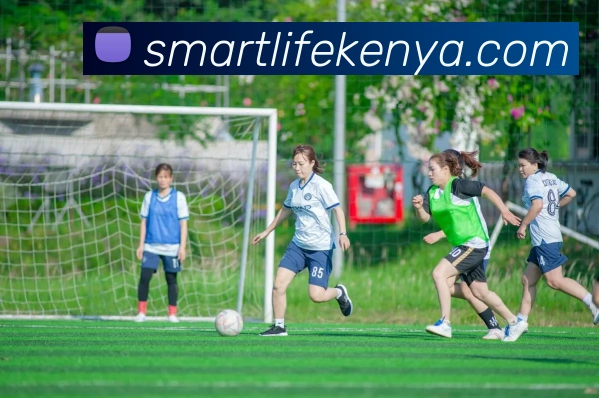 App Interface Preview