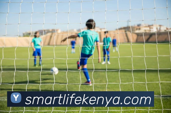 爱游戏体育APP 封面图